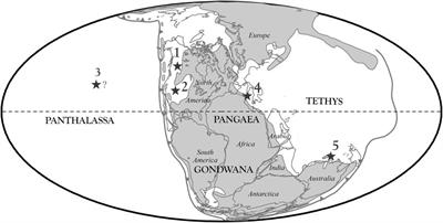 The utility of the Upper Triassic conodont Primatella in Tethyan-Panthalassan correlation around the Carnian-Norian boundary